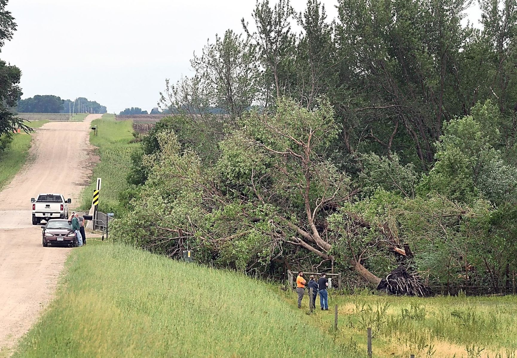Storm damage 2